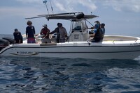 「シャーク・ビーチ：ガルフ・コースト with アンソニー・マッキー」より。(c)National Geographic