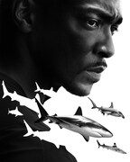 怖いだけではない?釣り好きのアンソニー・マッキーがサメの新たな一面に迫る番組