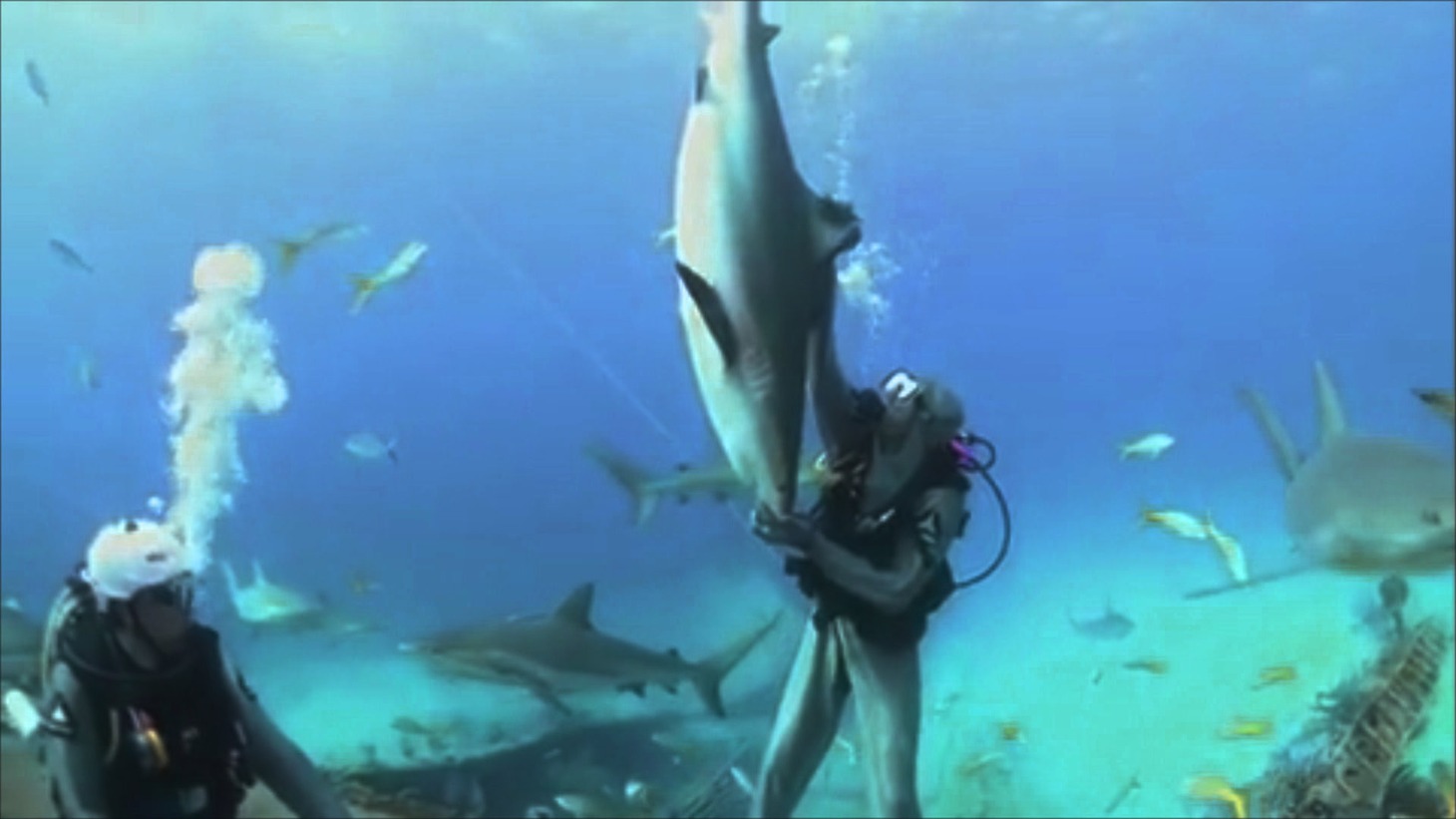 「おもしろ解説！ネットでバズったサメ動画集」より。(c)National Geographic