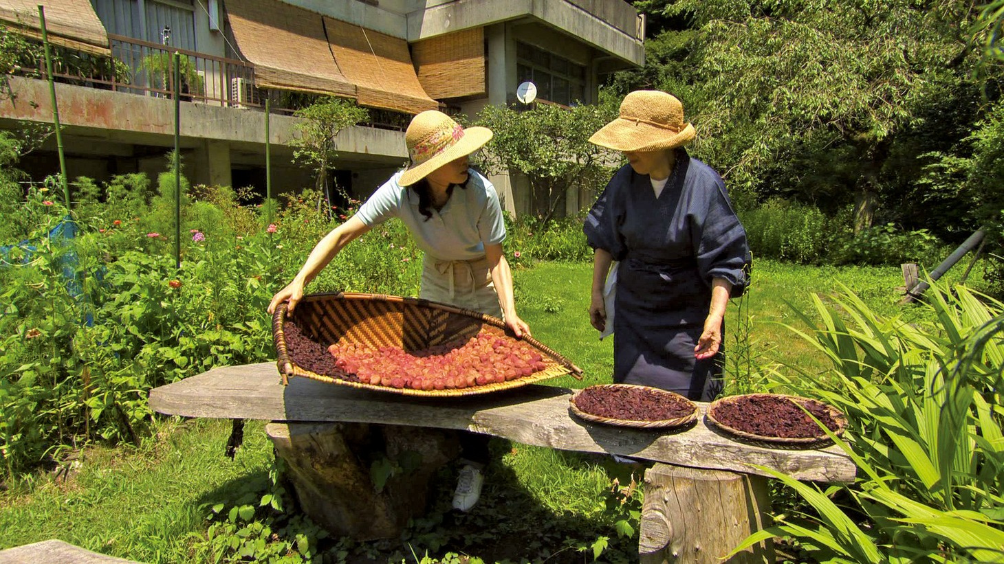 「天のしずく 辰巳芳子“いのちのスープ”」場面写真 (c)2012年 天のしずく製作委員会