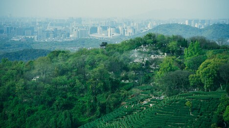「西湖畔に生きる」場面写真