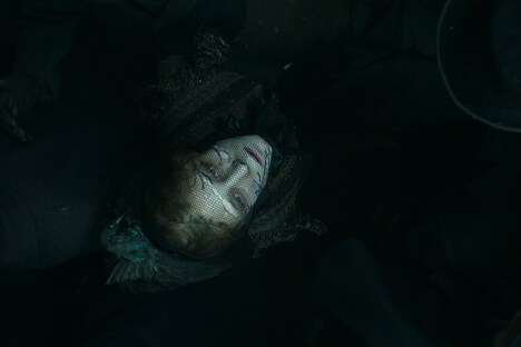 「チャイコフスキーの妻」新場面写真