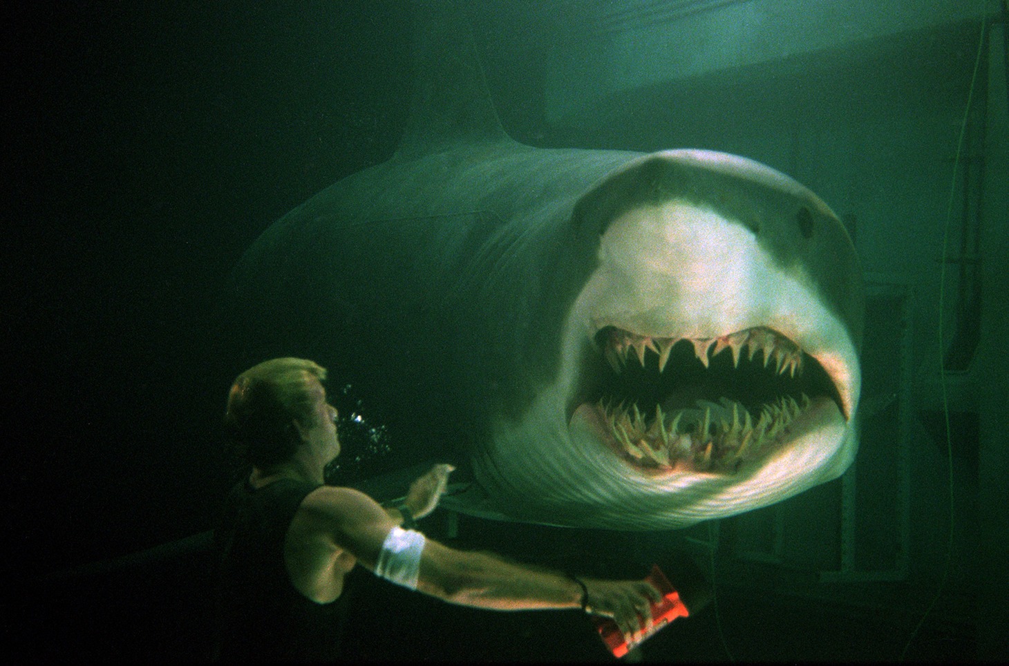 「ディープ・ブルー」場面写真 (c) 1999 Village Roadshow Films (BVI) Limited