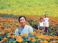 「花物語」場面写真 (c)KADOKAWA 1989