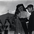 特集「家族たちの戦争」シネマヴェーラ渋谷で開催、戦災孤児や戦後の人々映す9本上映