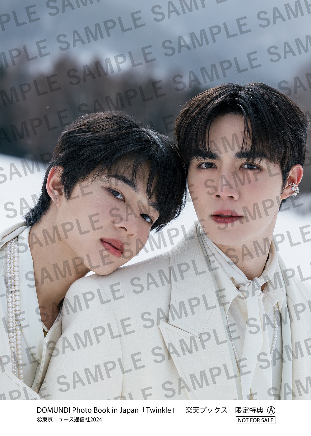 DOMUNDI Photo Book in Japan「Twinkle」楽天ブックス購入特典となるポストカードのビジュアル（Zee&NuNew）。