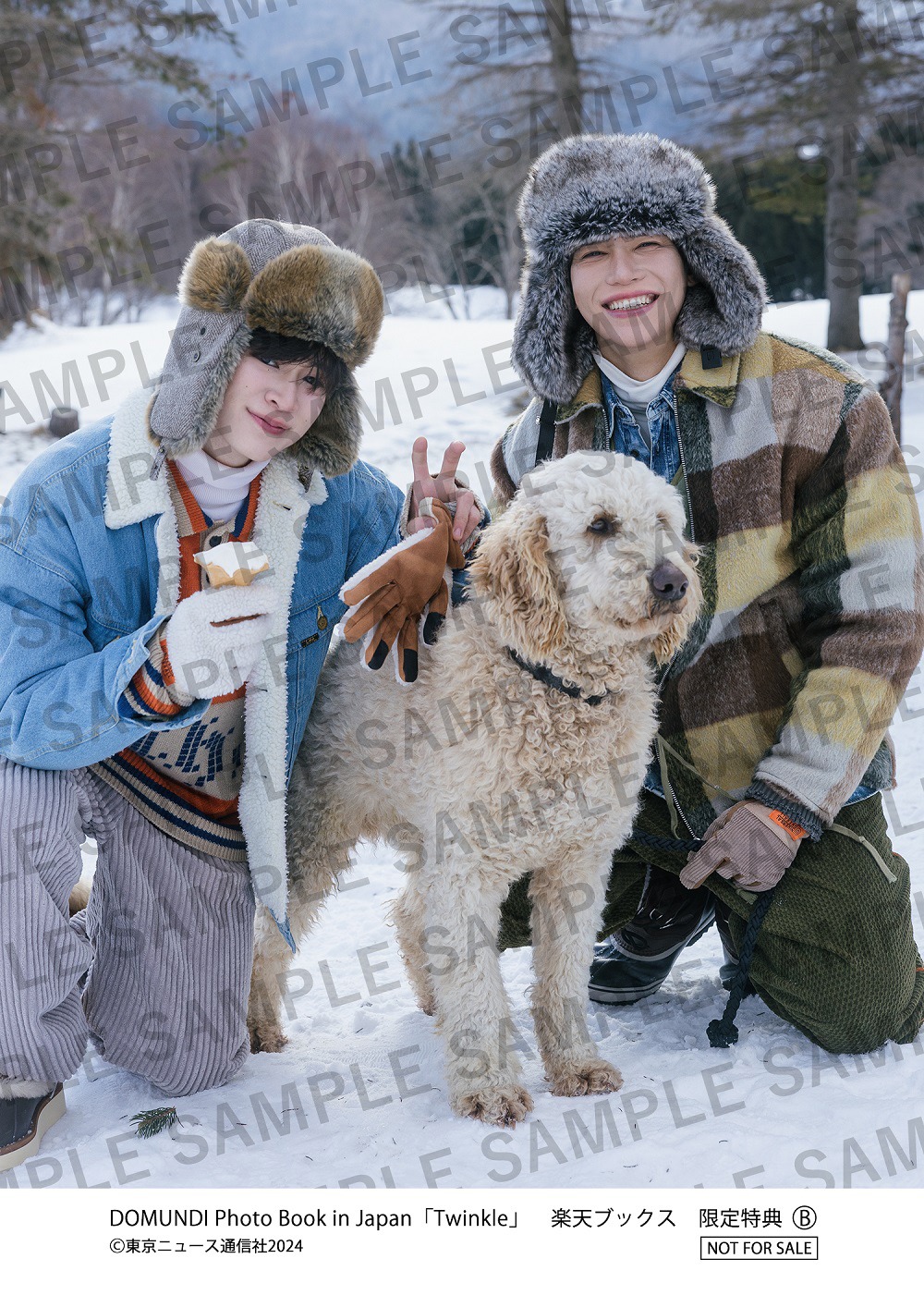 DOMUNDI Photo Book in Japan「Twinkle」楽天ブックス購入特典となるポストカードのビジュアル（Max&Nat）。