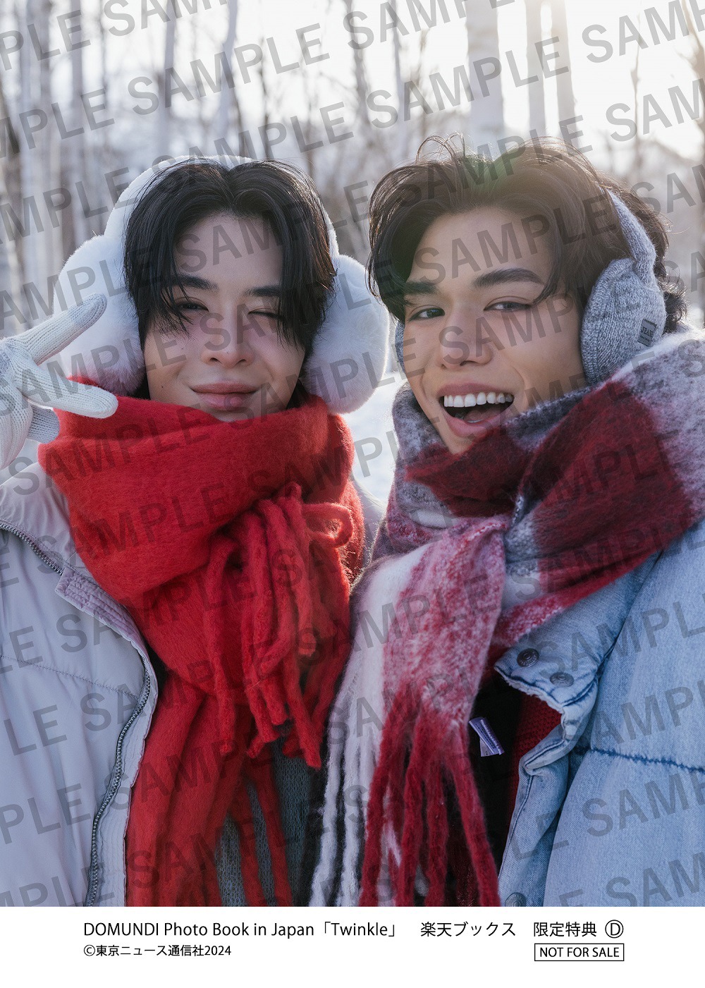 DOMUNDI Photo Book in Japan「Twinkle」楽天ブックス購入特典となるポストカードのビジュアル（Net&James）。