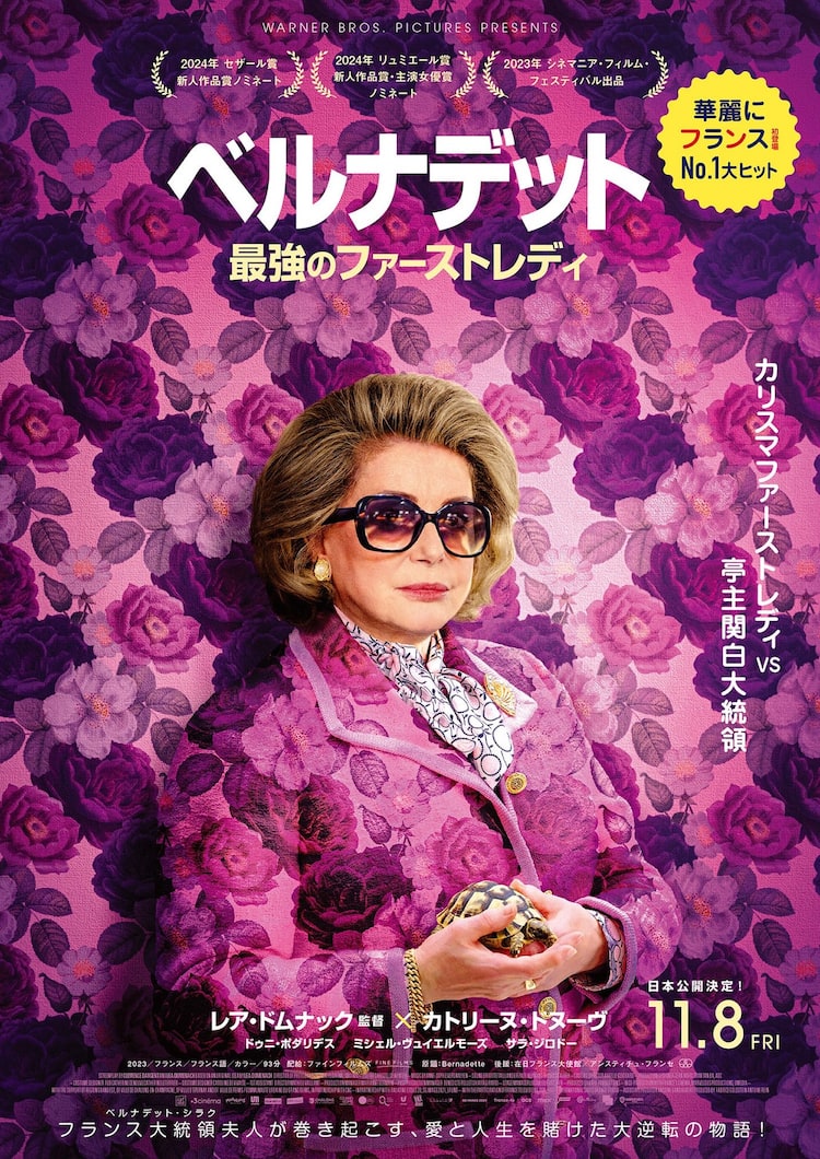 活動歴および当時の関連ビジュアル記録