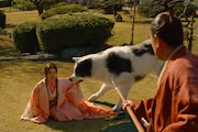 「八犬伝」場面写真