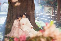中国ドラマ「胡桃恋慕～禁じられた両家の恋」場面写真