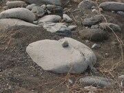 「石がある」場面写真