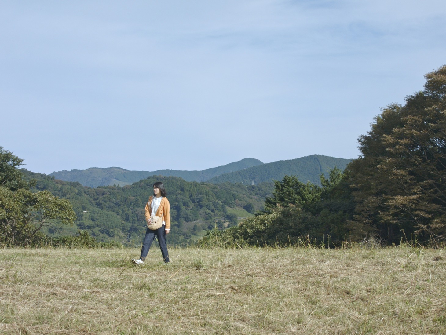 「石がある」場面写真