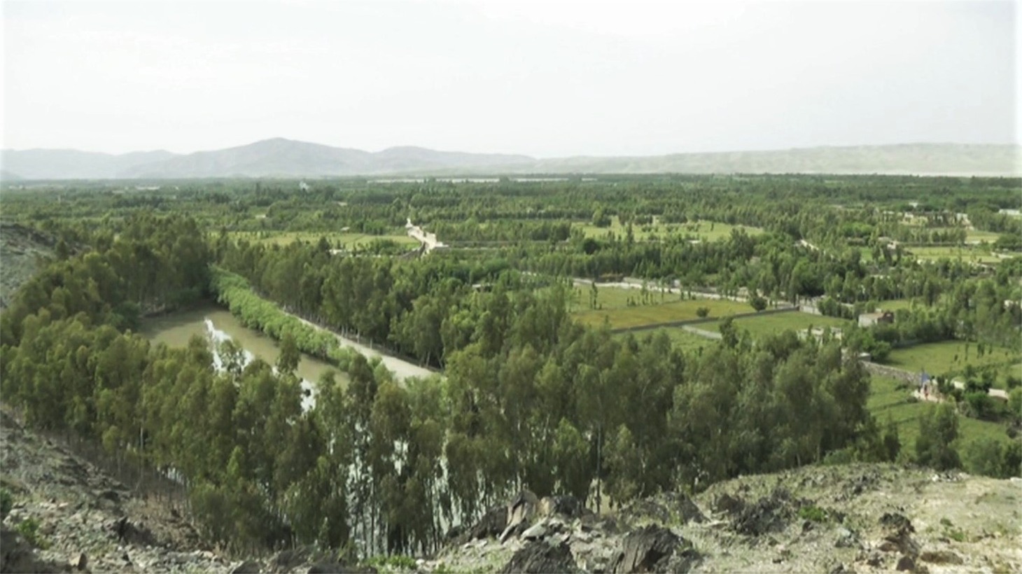 「劇場版 荒野に希望の灯をともす」場面写真