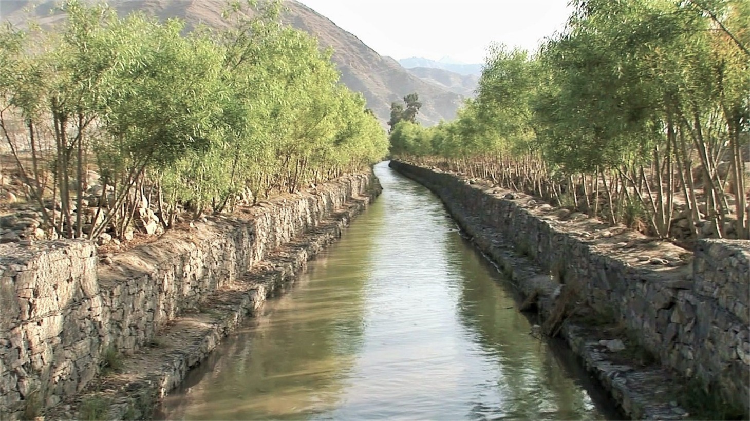 「劇場版 荒野に希望の灯をともす」場面写真