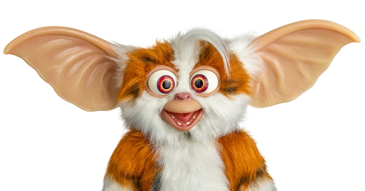 daffy_202408_01.jpg?impolicy= 