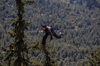 「エストニアの聖なるカンフーマスター」場面写真