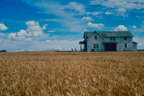 「柔らかい殻 デジタルリマスター版」場面写真