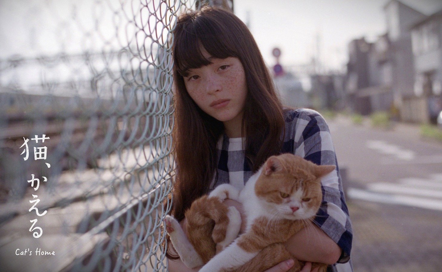 「猫、かえる」場面写真