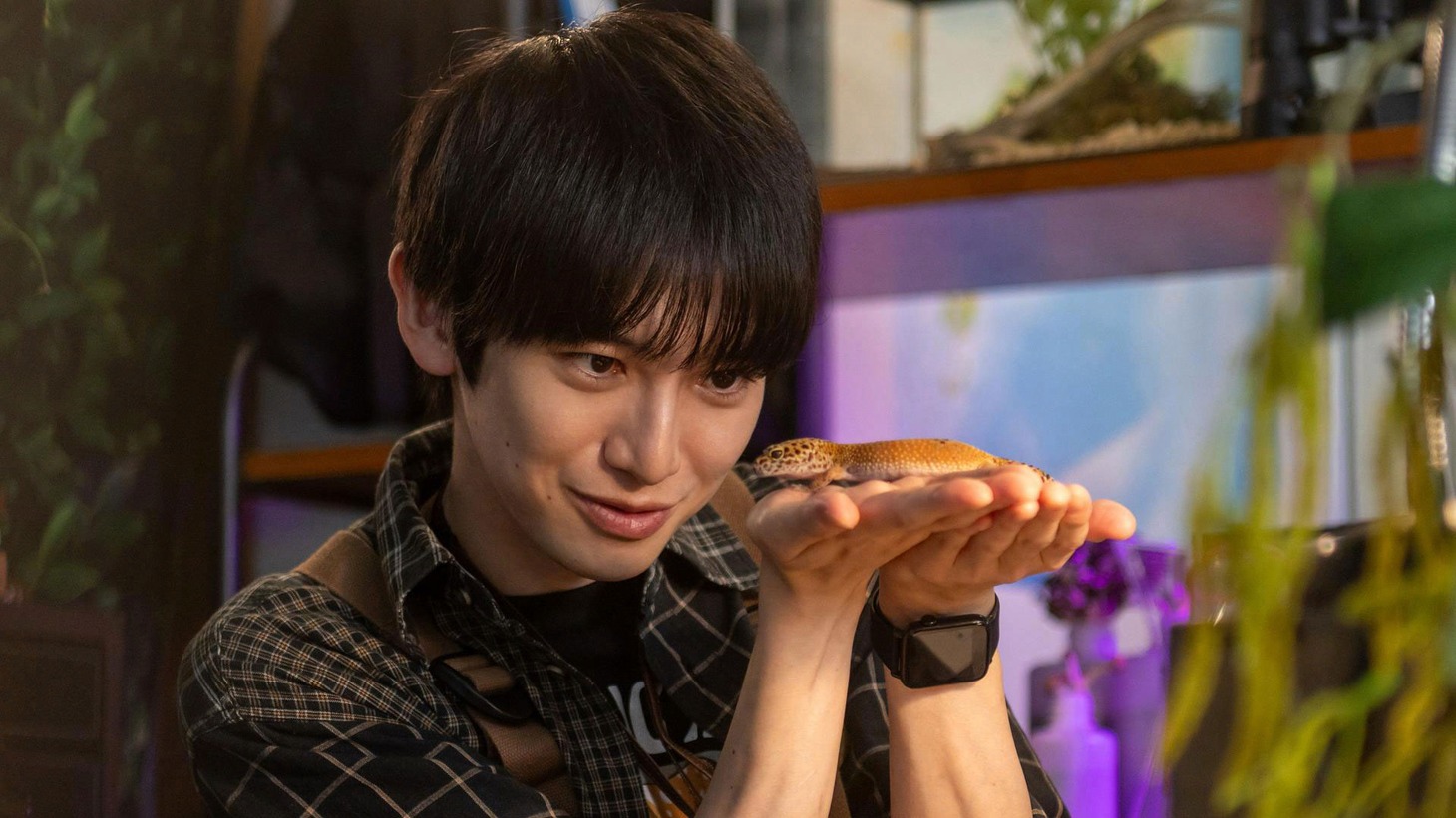 ドラマ「ダーウィンが行く!?」場面写真