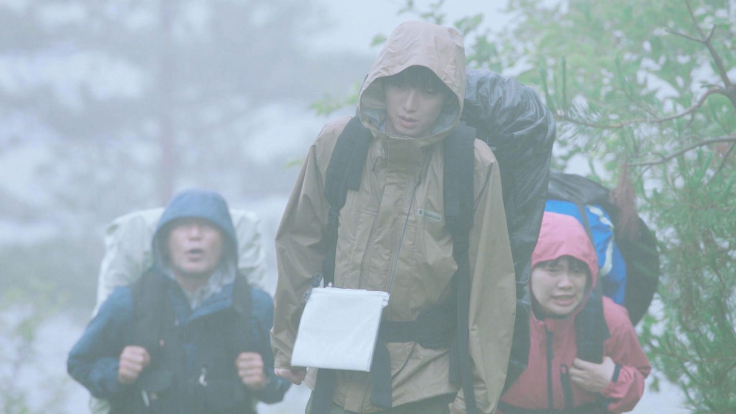 ドラマ「ダーウィンが行く!?」場面写真