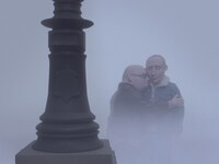 「美しき男たち」場面カット