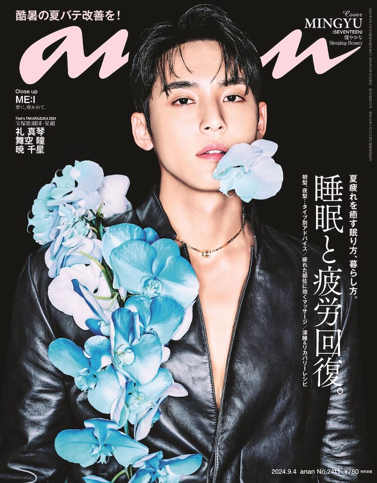 seventeen Home 2024 トレカ あわただしく ミンギュ