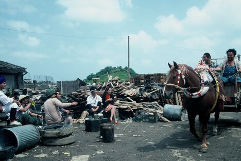 「ウンタマギルー」場面写真