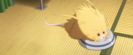 「ふれる。」新場面カット