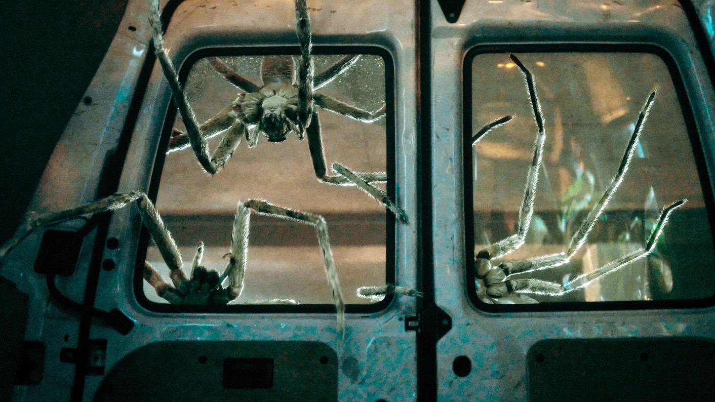 「スパイダー／増殖」場面写真