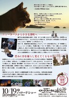 「五香宮の猫」チラシ裏