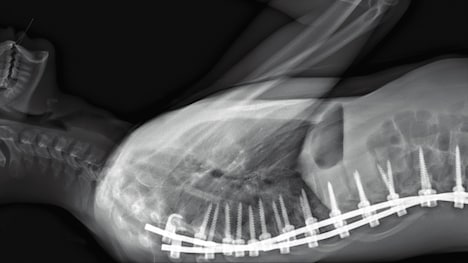 「人体の構造について」場面写真