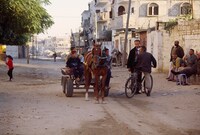 「ガザからの報告」宣伝写真