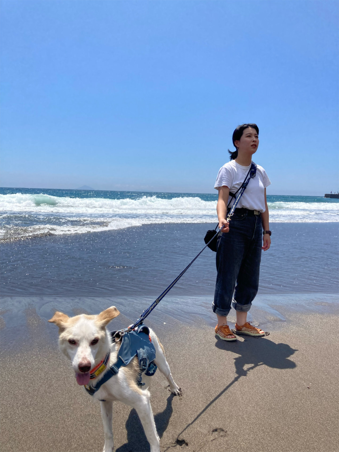 梅澤舞佳