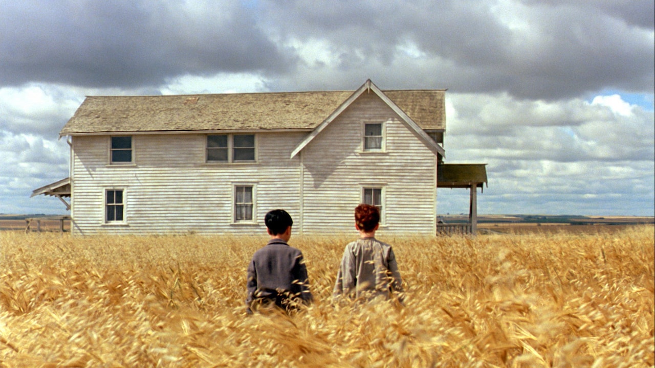 罪とお言い！少年に迫る悲劇を描いた「柔らかい殻」デジタルリマスター版予告