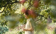 「失った時間」場面写真