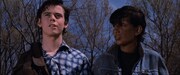 「アウトサイダー コンプリート・ノベル ‐4Kレストア版‐」場面写真 (c)2005 / ZOETROPE CORPORATION - Tous Droits Réservés