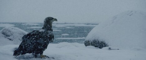 ドキュメンタリー映画「SONG OF EARTH／ソング・オブ・アース」新場面写真