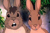 「ウォーターシップ・ダウンのうさぎたち HDリマスター版」メインカット