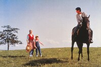 「遙かなる山の呼び声」場面写真