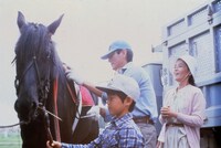 「遙かなる山の呼び声」場面写真