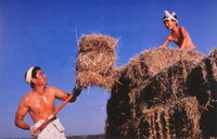 「遙かなる山の呼び声」場面写真