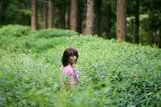 「ルート29」場面写真