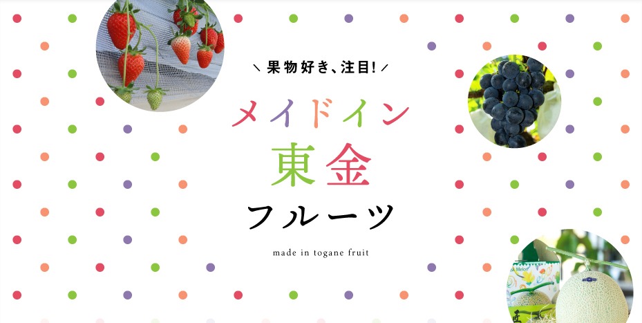 月刊 旅色 2024年10月号より。