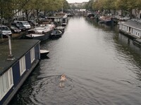 「占領都市」場面写真