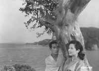 「五番町夕霧楼（1963年）」場面写真