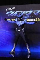 ポーズを決めるウイングマン