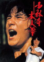 「少林寺木人拳」ビジュアル