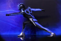 ポーズを決めるウイングマン