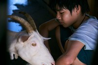 「ルート29」場面写真